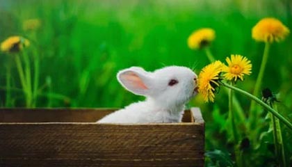 -国家队失误率居高不下反映训练漏洞，国家队难受