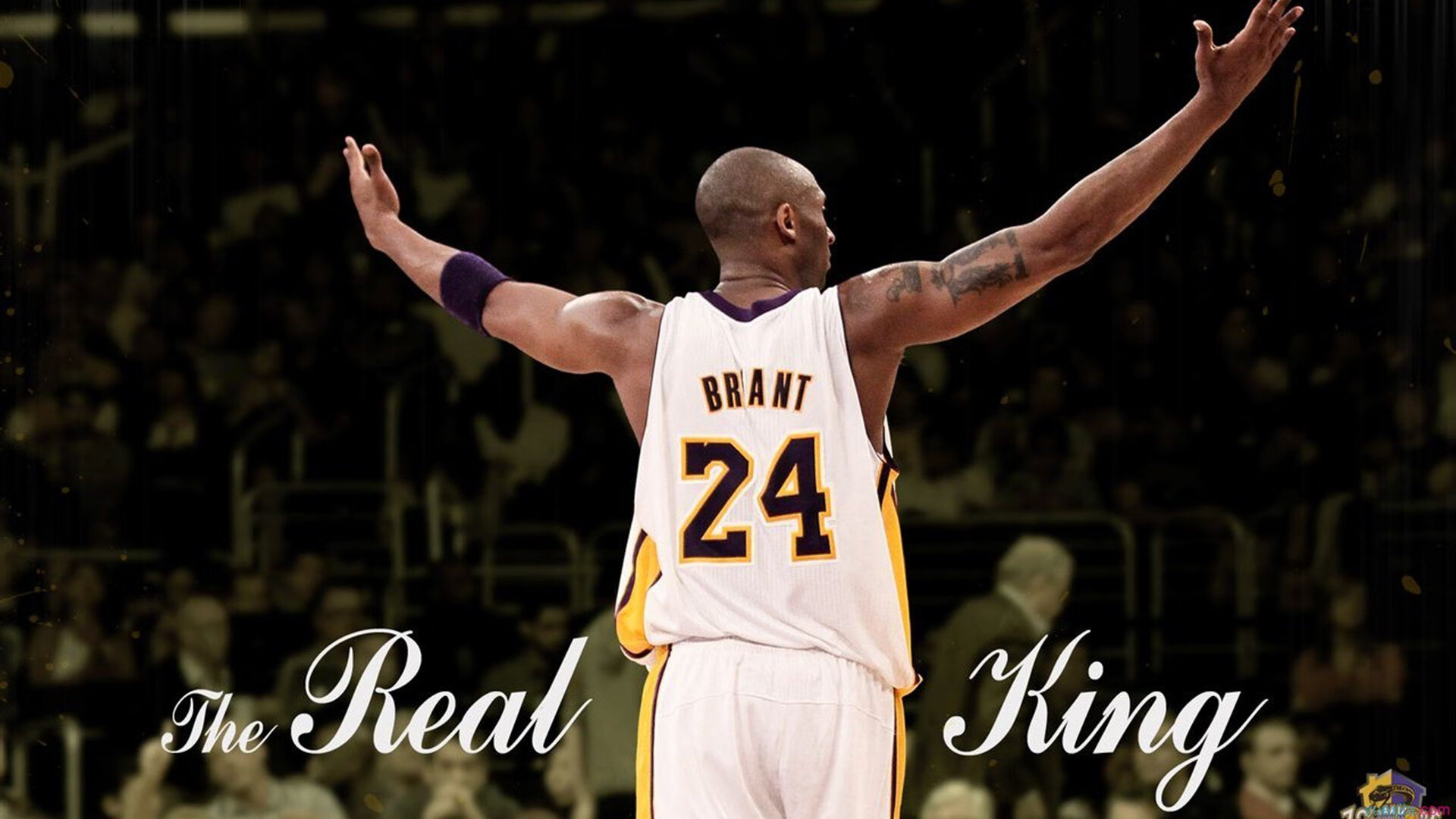 韩国星际争霸赛事安全保障加强，韩国星际争霸球赛