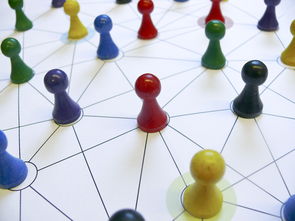 爱游戏娱乐-中国篮球教练员领导力培养路径，中国篮球协会篮球教练员等级